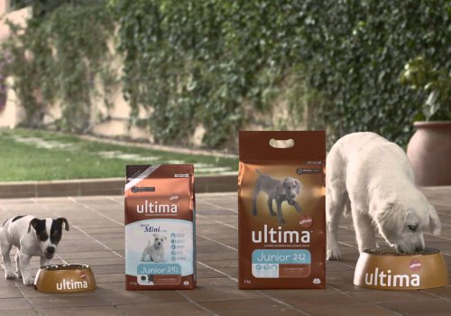 Muestra gratis de comida para perros con Affinity